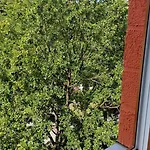 Przy Plazy Przestronny 150 M2 5 Sypialni 2 Lazienki Nowoczesny, Luksusowy, Cichy * Kolobrzeg