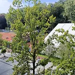 Przy Plazy Przestronny 150 M2 5 Sypialni 2 Lazienki Nowoczesny, Luksusowy, Cichy *