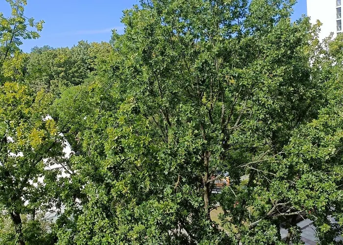 Przy Plazy Przestronny 150 M2 5 Sypialni 2 Lazienki Nowoczesny, Luksusowy, Cichy *